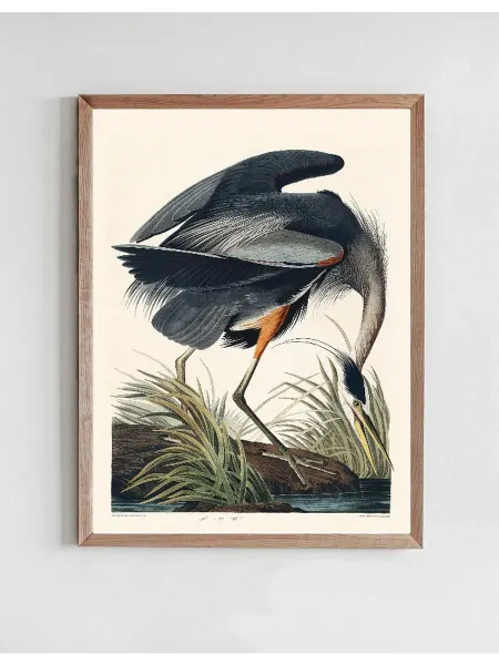 Onllyart Постер Музей старинных вещей - Птица I 50x70