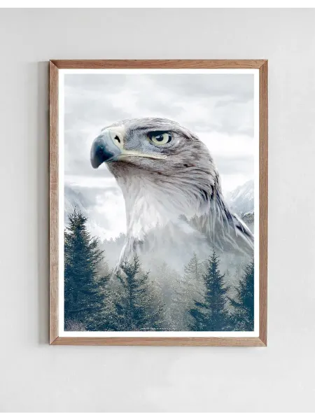 Onllyart Постер Портреты Кавказский орел 50x70