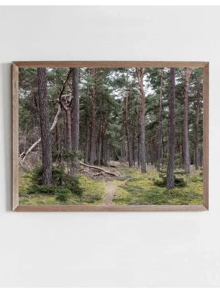 Onllyart Постер Тисвильдехень 50x70