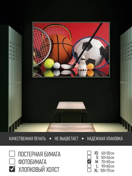 ПолиЦентр Постер на холсте Спортивный инвентарь тип3, 70х50 см