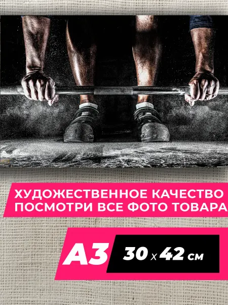 Бодибилдинг Study Постер бодибилдинг на стену 40 размер A3