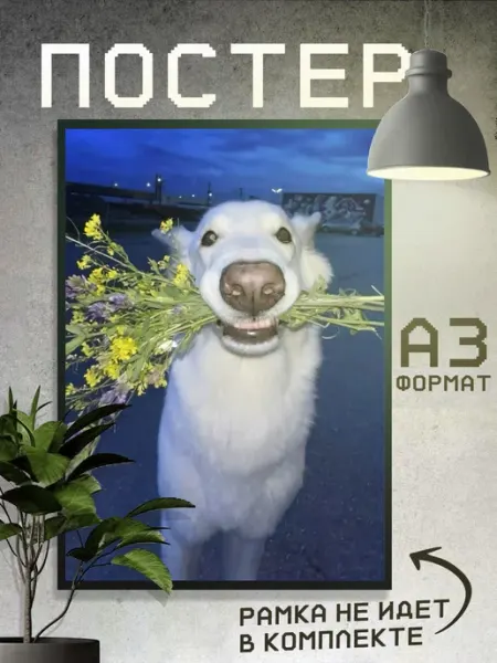 Boom Cover! Постер Эстетика Фотки из пинтерест