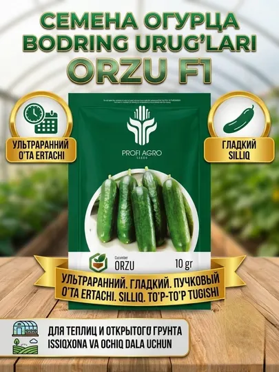Семена огурца ORZU F1 (Партенокарпик), 10 г, для теплиц и открытого грунта