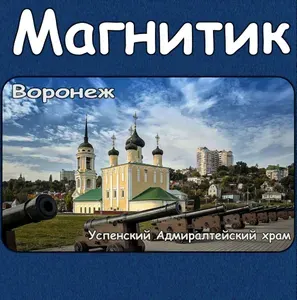 Магнитик на холодильник Воронеж. Размер 60*100 мм. Комплект 5 штук.
