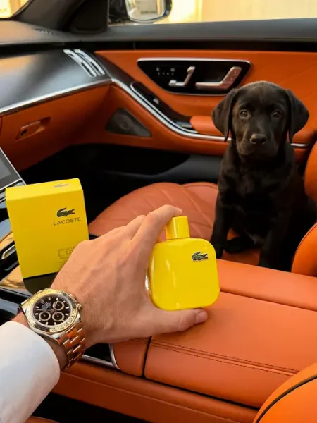 Парфюм стойкий Туалетная вода мужская Lacoste L.12.12 Jaune Optimistic 100…
