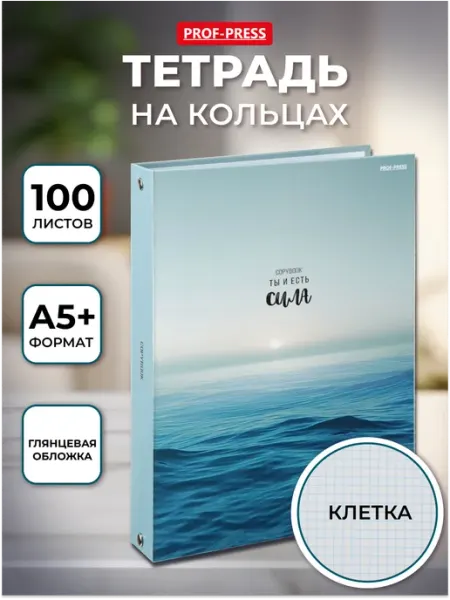 Prof-Press Блочная тетрадь на кольцах в клетку 100 листов