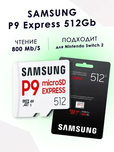 Samsung P9 512GB