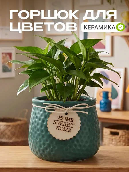 Горшок декоративный для цветов "Home sweet home" бирюзовый, керамика кашпо для растений суккулентов и кактусов, для дома