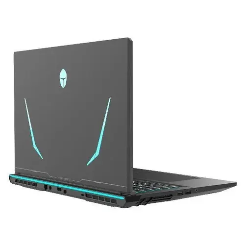 Thunderobot Range 17 G2 Pro Игровой ноутбук 17.3", Intel Core i7-13620H, RAM 16 ГБ, SSD 1000 ГБ, NVIDIA GeForce RTX 5060 для ноутбуков (8 Гб), Без системы, (400477317), черный, Русская раскладка