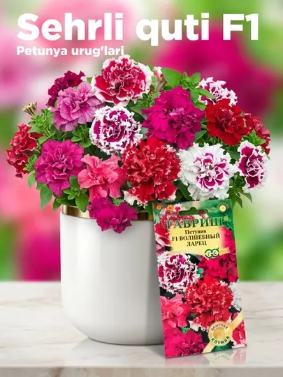 Семена Петуния крупноцветковая Волшебный ларец F1 Элитная клумба, 10001587