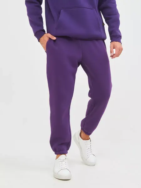 STREET INDUSTRIES Спортивные Брюки с начесом