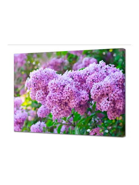 Decorshop Картина интерьерная на холсте "Сирень"