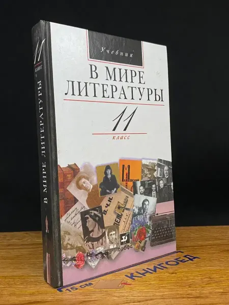 ДРОФА В мире литературы. 11 класс. Учебник
