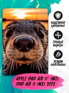 Чехол-книжка для планшета Apple iPad Air 11 (M2)/Apple iPad 11 (M3) 2025 с принтом , черный
