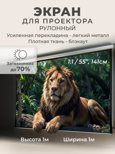 Gozhy Экран для проектора рулонный блэкаут 1х1м
