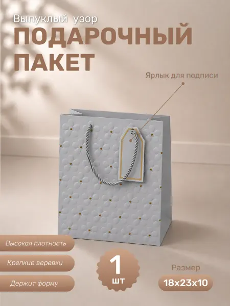Пакет подарочный 1 штука