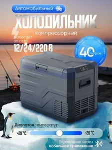 Автохолодильник Alpicool NL40 компрессорный переносной / Морозильник Алпикул автомобильный объемом 40 л 12/24/220 Вольт / Для дачи и путешествий