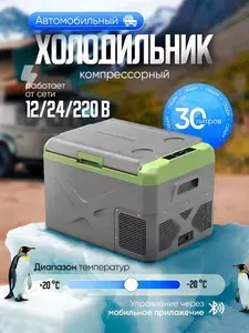 Холодильник автомобильный компрессорный 12/24/220 Alpicool X30 объемом 30 л.