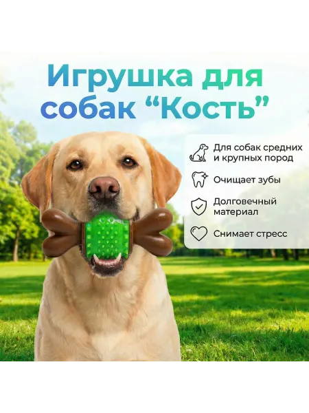 Мультирум Игрушка кость для собак