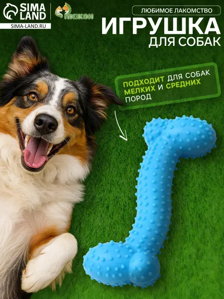 Пижон Игрушка для собак кусалка
