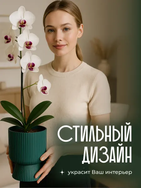 Кашпо для цветов для комнатных горшок для цветов
