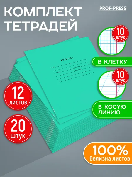 Prof-Press Тетрадь 12 листов в клетку и в косую линейку 20 шт