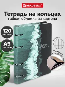 Тетрадь на кольцах А5 в клетку со сменным блоком 160х212 мм, 120 листов, обложка картон, Brauberg Relax
