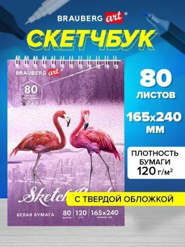 Блокнот-Скетчбук для рисования, белые страницы 120 г/м2 165х240 мм, 80 листов, гребень, твердая обложка, Brauberg Art Debut