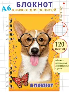 Записная книжка в клеточку для женщин Блокнот для записей на пружинке в офис, 120 листов, А6