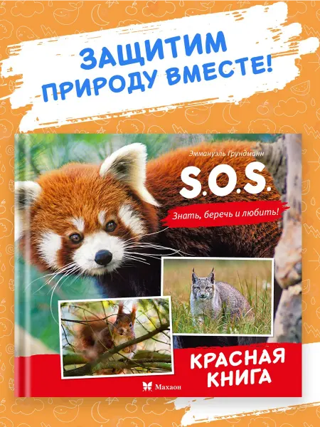 Издательство Махаон Книга Новая детская энциклопедия