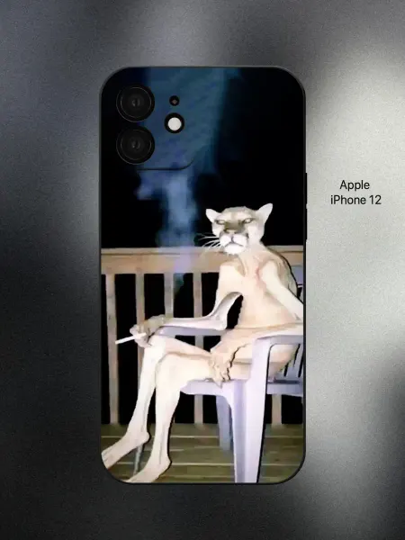 ESSE CASE Чехол на iPhone 12 мем
