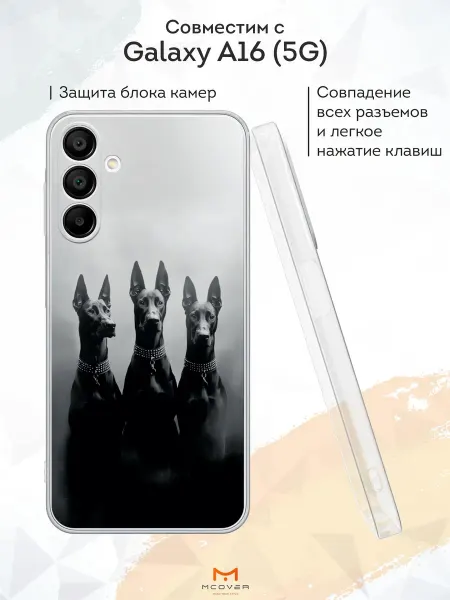 Мобилиус Чехол на Samsung A16 (5G) с принтом Доберманы