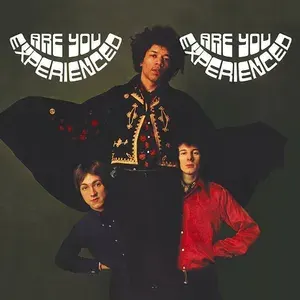 Experience Hendrix JIMI HENDRIX Are You Experienced (2LP)