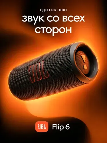 Беспроводная колонка FLIP 6