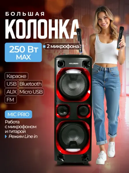 HOLLEBERG Колонка музыкальная большая Bluetooth с функцией караоке