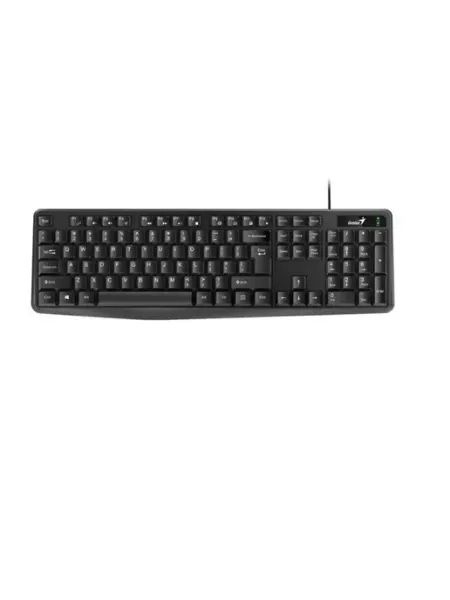 GENIUS Клавиатура KB-117 USB RU Black