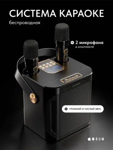 Колонка караоке система с двумя микрофонами