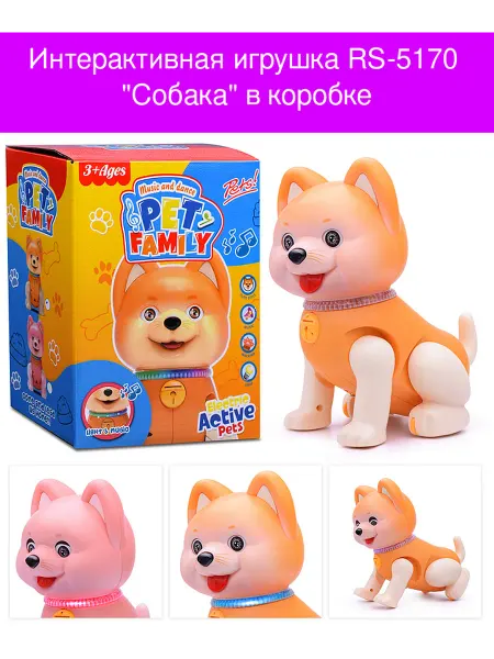 КНР Развивающая игрушка RS-5170 "Собака" в коробке