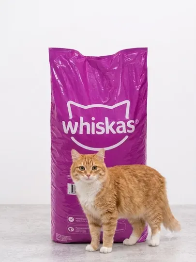 Сухой корм для кошек Whiskas, 13.8 кг