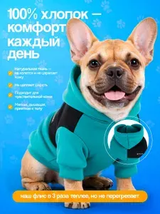 Толстовка с капюшоном для собак и кошек