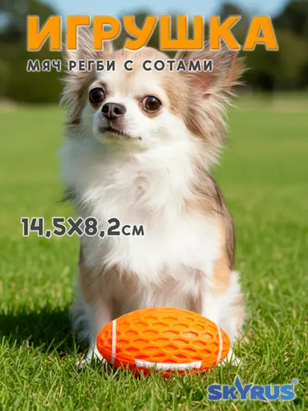 SKYRUS Мяч регби для собак 14.5x8.2x7.9см