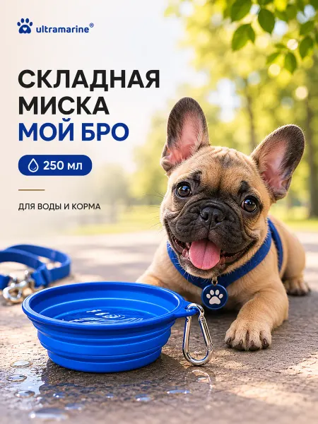 Миска складная силиконовая с карабином,250 мл