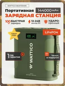 Портативная зарядная полевая станция LiFePo4 ударопрочная с влагозащитой Wattico Camp-X Boatsman 460,8 Втч 144000 мАч