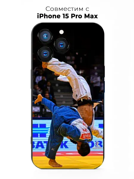 PANCASE Чехол на Iphone 15 Pro Max дзюдо