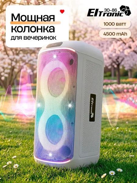 Портативная bluetooth колонка Eltronic 30-86 с беспроводным микрофоном, FM, TWS черная