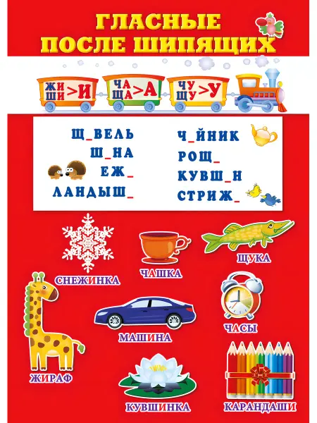 Best-Arts Плакат для школы "Гласные после шипящих" ламинированный