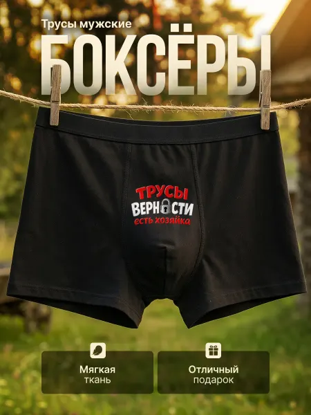 Трусы мужские боксеры с принтом трусы верности