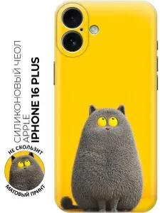 Силиконовый чехол на Apple iPhone 16 Plus с принтом "Котик на солнечном фоне"