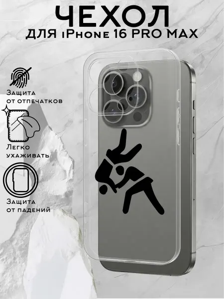 Принт-бутик Чехол на iPhone 16 Pro Max с принтом Дзюдо
