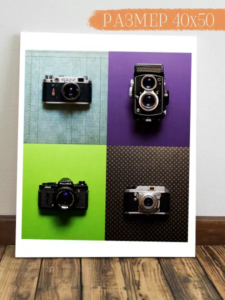 Интерьерная картина Аниме Картина на стену Фотоаппараты 50x40